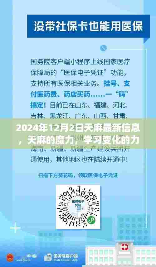 天麻最新信息揭秘,学习变化的力量与自信成就的未来