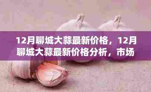 12月聊城大蒜价格解析，市场走势与最新行情分析