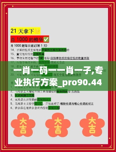 一肖一码一一肖一子,专业执行方案_pro90.447-3