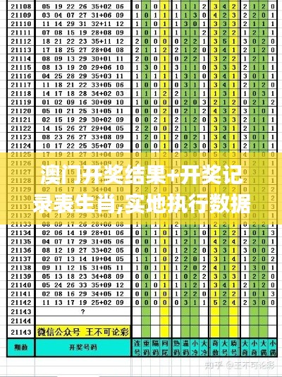 澳门开奖结果+开奖记录表生肖,实地执行数据分析_Galaxy1.192-2