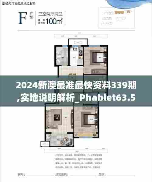2024新澳最准最快资料339期,实地说明解析_Phablet63.582-3
