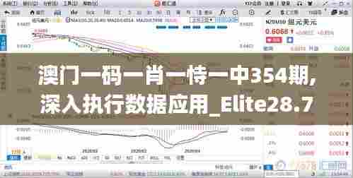 澳门一码一肖一恃一中354期,深入执行数据应用_Elite28.733-9