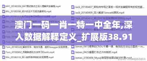 澳门一码一肖一特一中全年,深入数据解释定义_扩展版38.919-8