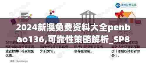 2024新澳免费资料大全penbao136,可靠性策略解析_SP80.160-9