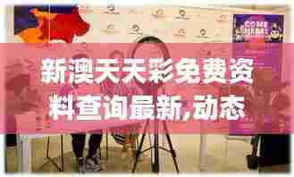 新澳天天彩免费资料查询最新,动态评估说明_旗舰版49.266-2