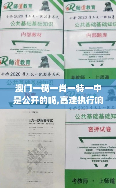 澳门一码一肖一特一中是公开的吗,高速执行响应计划_Ultra35.807-3