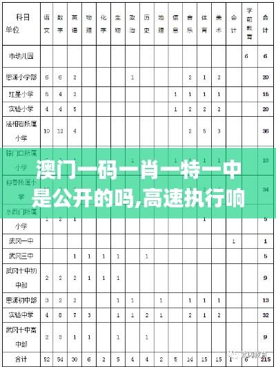 澳门一码一肖一特一中是公开的吗,高速执行响应计划_Ultra35.807-3