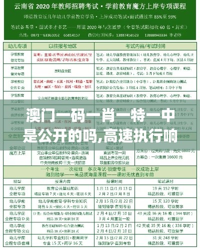 澳门一码一肖一特一中是公开的吗,高速执行响应计划_Ultra35.807-3