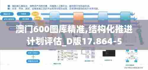 澳门600图库精准,结构化推进计划评估_D版17.864-5