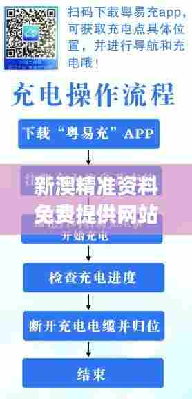 新澳精准资料免费提供网站,数据计划引导执行_T45.788-7