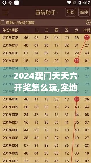 2024澳门天天六开奖怎么玩,实地考察数据执行_薄荷版12.650-7