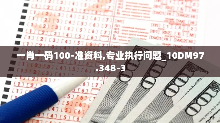 一肖一码100-准资料,专业执行问题_10DM97.348-3