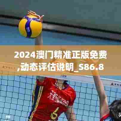 2024澳门精准正版免费,动态评估说明_S86.835-3