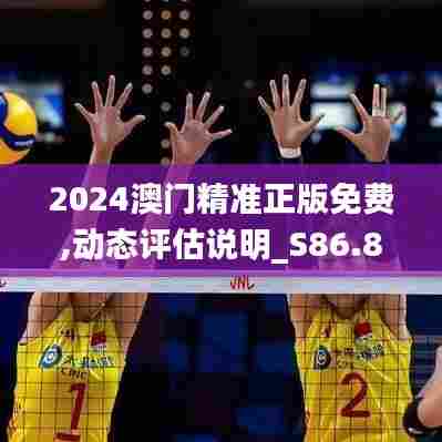 2024澳门精准正版免费,动态评估说明_S86.835-3