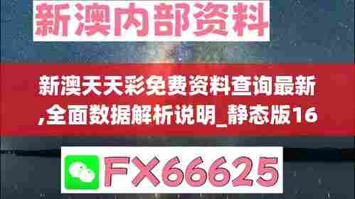 新澳天天彩免费资料查询最新,全面数据解析说明_静态版163.431-6