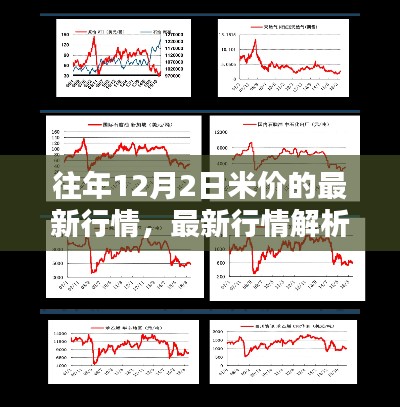 往年12月2日大米市场行情深度解析与预测，价格走势指南
