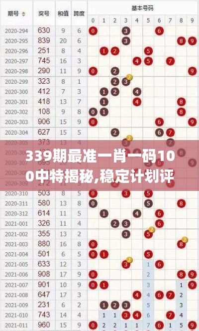 339期最准一肖一码100中特揭秘,稳定计划评估_NE版89.240-6