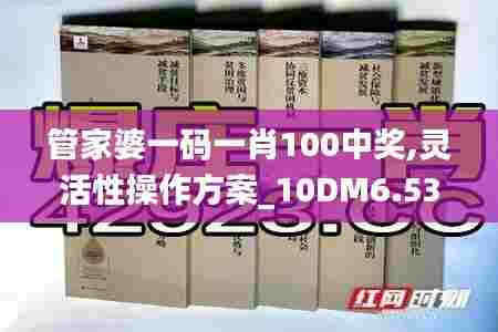 管家婆一码一肖100中奖,灵活性操作方案_10DM6.538-6