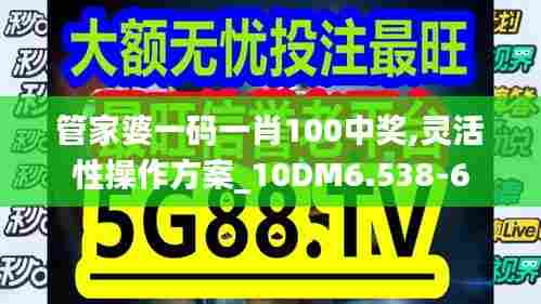 管家婆一码一肖100中奖,灵活性操作方案_10DM6.538-6