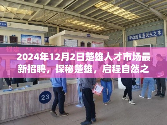 楚雄人才市场最新招聘探秘之旅，职场与心灵双重宁静的自然启程（2024年12月）