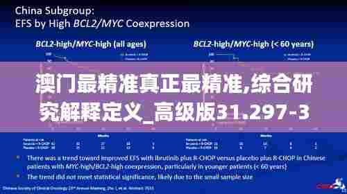 澳门最精准真正最精准,综合研究解释定义_高级版31.297-3