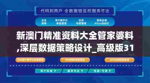 新澳门精准资料大全管家婆料,深层数据策略设计_高级版31.396-9