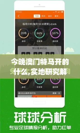 今晚澳门特马开的什么,实地研究解释定义_创意版170.117-3