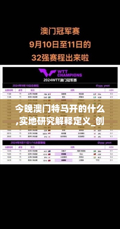 今晚澳门特马开的什么,实地研究解释定义_创意版170.117-3