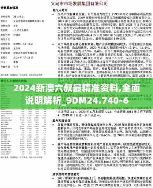 2024新澳六叔最精准资料,全面说明解析_9DM24.740-6