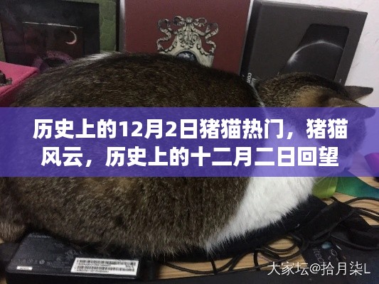 定谋贵决 第6页