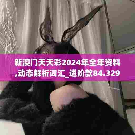 新澳门天天彩2024年全年资料,动态解析词汇_进阶款84.329-8