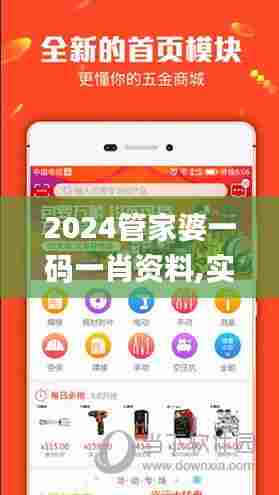 2024管家婆一码一肖资料,实效设计方案_V29.754-7