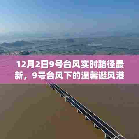 台风下的避风港,一场与风的冒险之旅