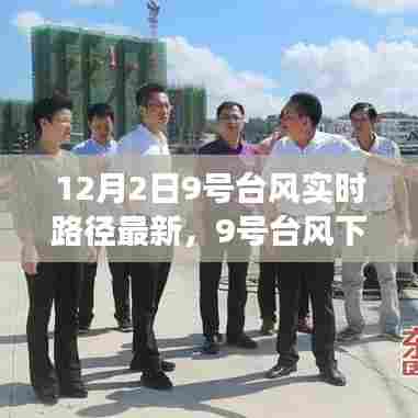 台风下的避风港,一场与风的冒险之旅