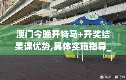 澳门今晚开特马+开奖结果课优势,具体实施指导_Executive85.790-7