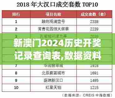 新澳门2024历史开奖记录查询表,数据资料解释定义_投资版62.603-8