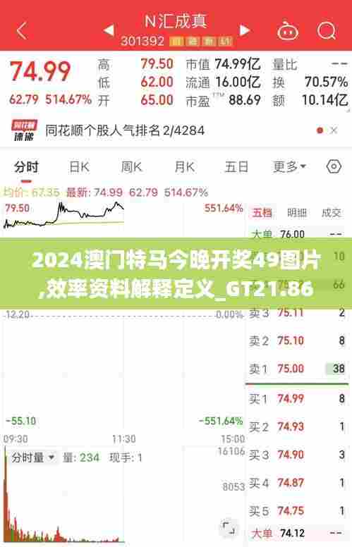 2024澳门特马今晚开奖49图片,效率资料解释定义_GT21.861-7