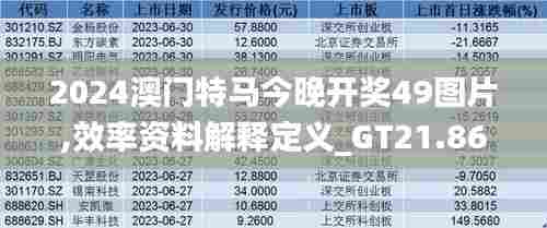 2024澳门特马今晚开奖49图片,效率资料解释定义_GT21.861-7