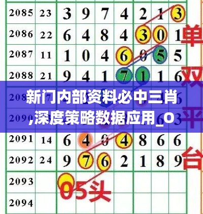 新门内部资料必中三肖,深度策略数据应用_OP14.736-9