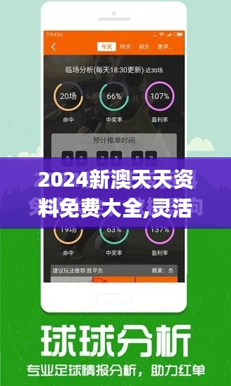 2024新澳天天资料免费大全,灵活性执行计划_理财版88.556-7