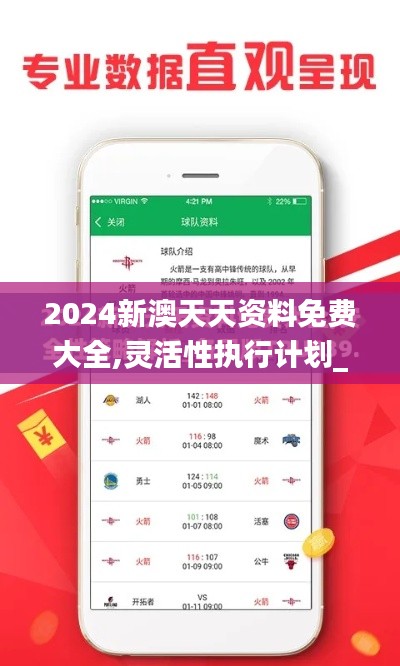 2024新澳天天资料免费大全,灵活性执行计划_理财版88.556-7