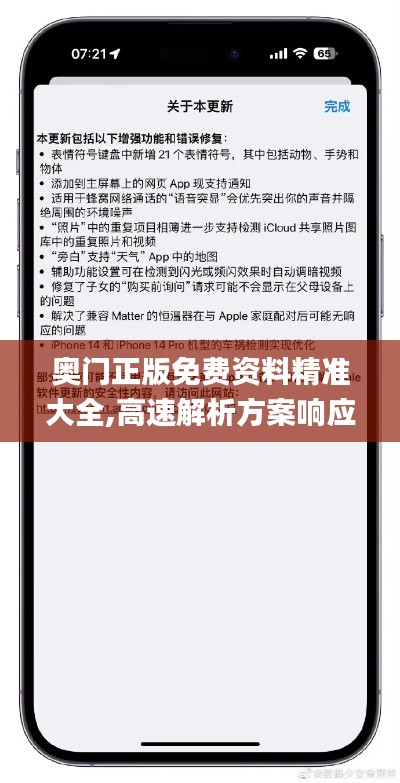 奥门正版免费资料精准大全,高速解析方案响应_苹果款30.530-2