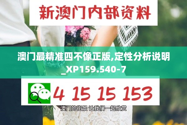 澳门最精准四不像正版,定性分析说明_XP159.540-7