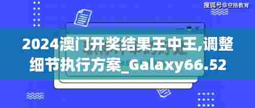 2024澳门开奖结果王中王,调整细节执行方案_Galaxy66.524-4