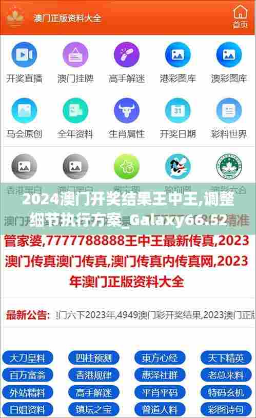 2024澳门开奖结果王中王,调整细节执行方案_Galaxy66.524-4