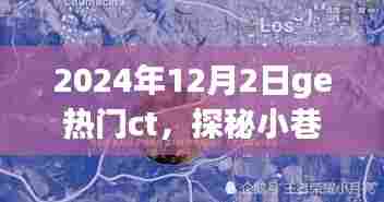 鸟覆危巢 第4页