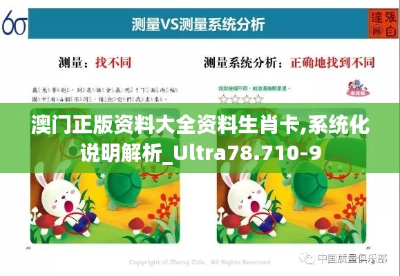 澳门正版资料大全资料生肖卡,系统化说明解析_Ultra78.710-9