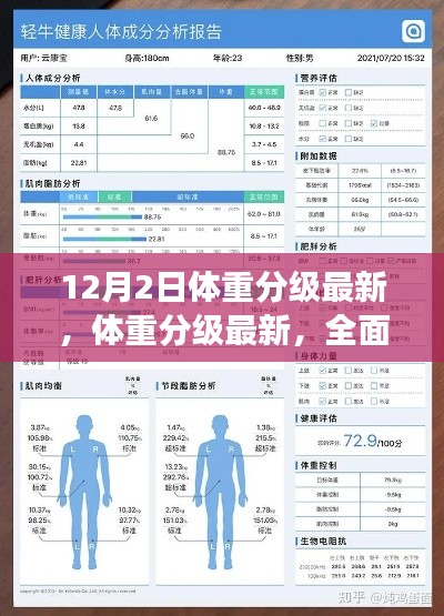 体重分级最新解读,全面解析产品特性与使用体验