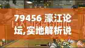 79456 濠江论坛,实地解析说明_BT19.919-7