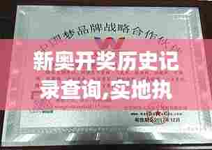 新奥开奖历史记录查询,实地执行考察设计_Max94.366-7